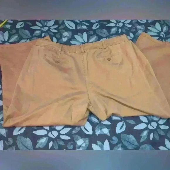 Avenue Stretch size 24 capri pants - Picture 8 of 9